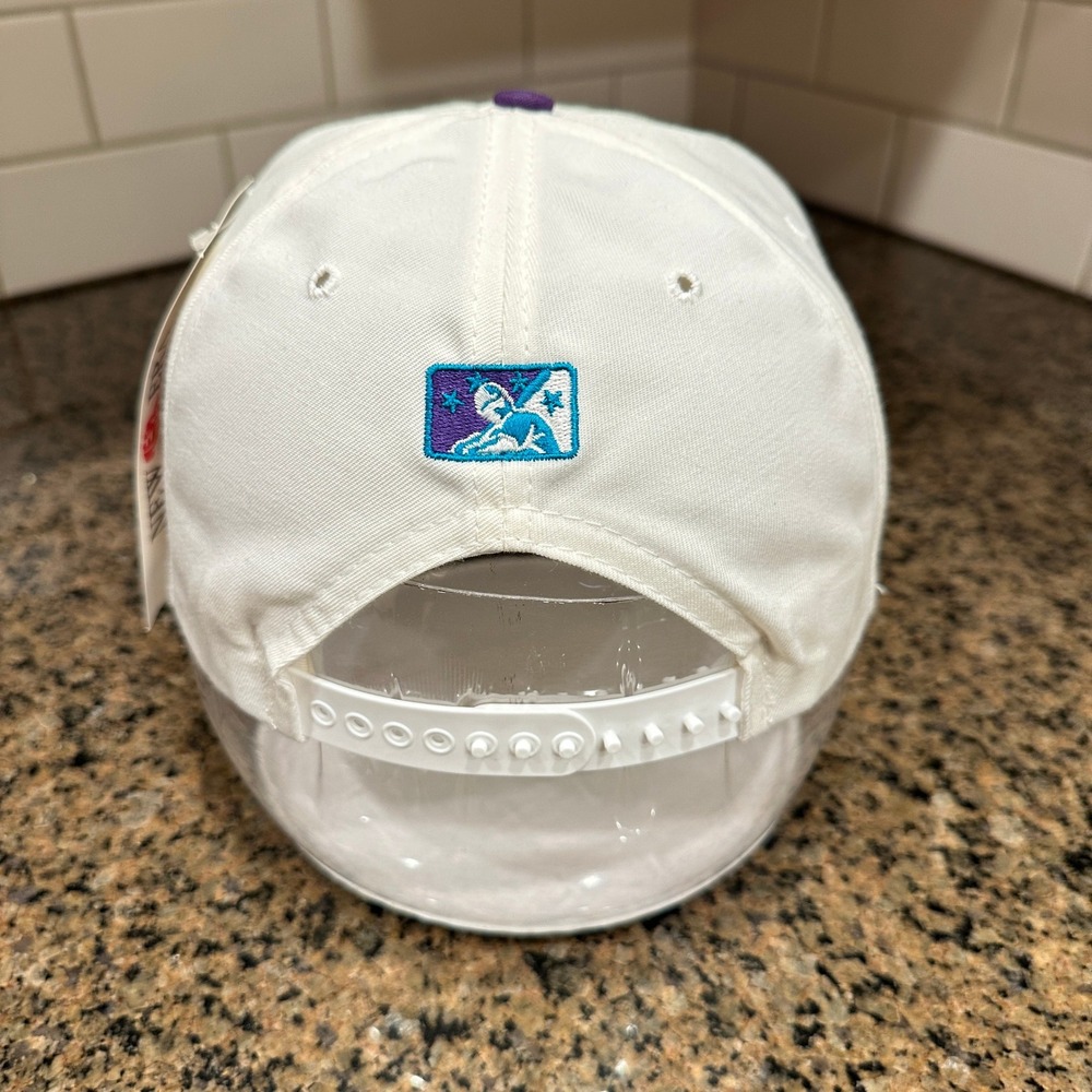 Vtg 90s Charleston RiverDogs MiLB New Era 5950 Pro Model Hat Snapback Wool - Picture 4 of 10